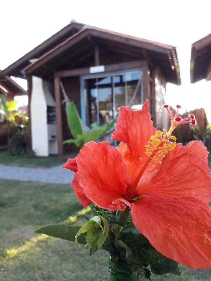 Alojamento de Turismo Selvagem Alma Do Rosa Vila Praia do Rosa Brasil